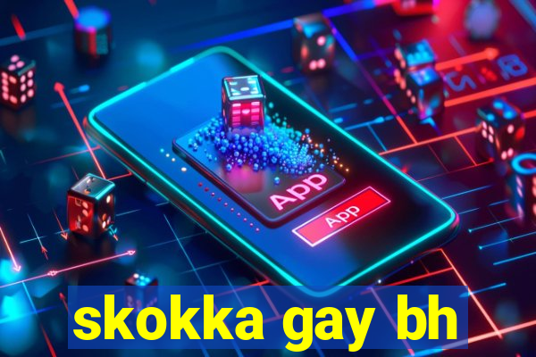 skokka gay bh